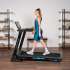Беговая дорожка домашняя OXYGEN FITNESS EMERALD TFT 10 Беговая дорожка домашняя OXYGEN FITNESS EMERALD TFT 10