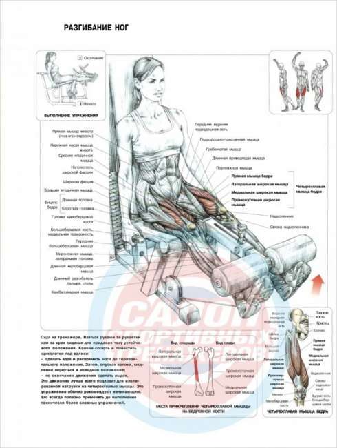 Силовой комплекс ProTrain HG 10250 Силовой комплекс ProTrain HG 10250