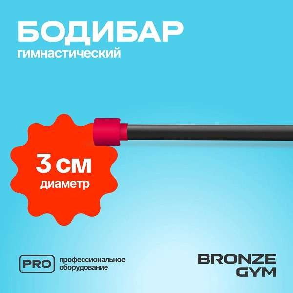 BRONZE GYM БОДИБАР 4 кг BRONZE GYM БОДИБАР 4 кг